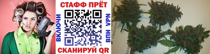 МЕФ Электросталь