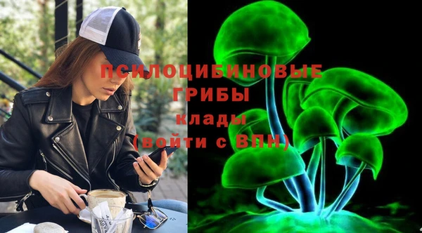 амф Козельск